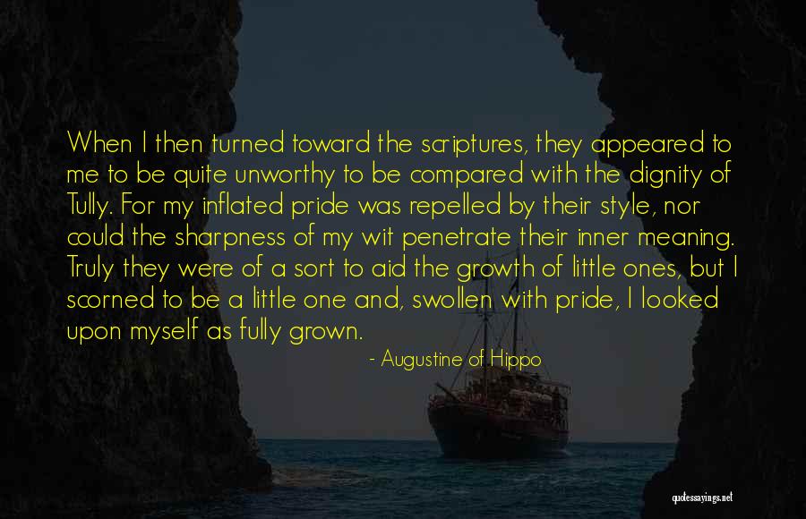 Pride Of Myself Quotes By Augustine Of Hippo