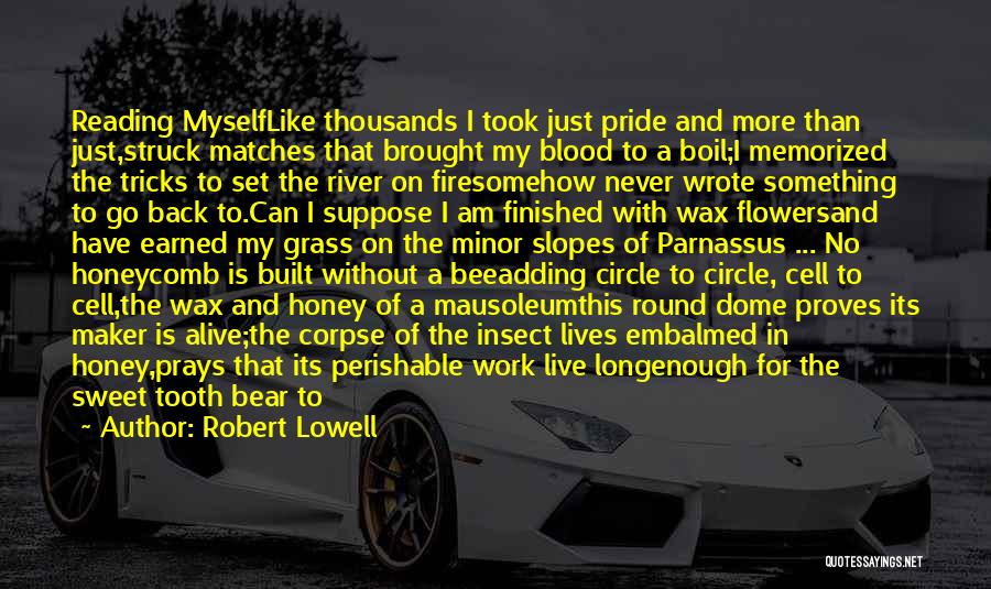 Pride Of Work Quotes By Robert Lowell