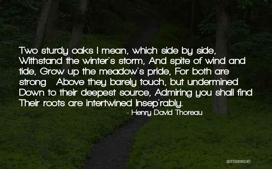 Pride To The Side Quotes By Henry David Thoreau