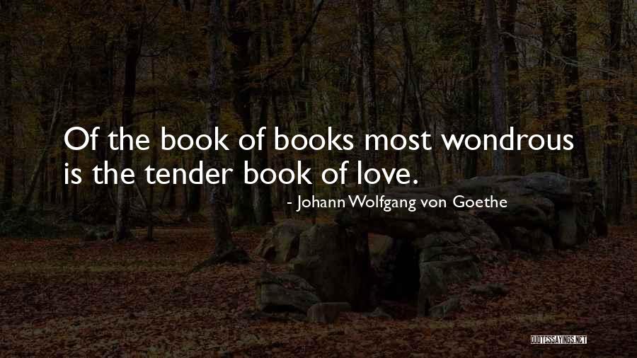 Priek Mets Un Izteicejs Quotes By Johann Wolfgang Von Goethe Priek Mets Un Izteicejs Quotes By Johann Wolfgang Von Goethe