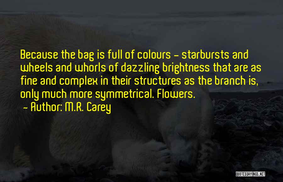 Priest Like Collar Quotes By M.R. Carey