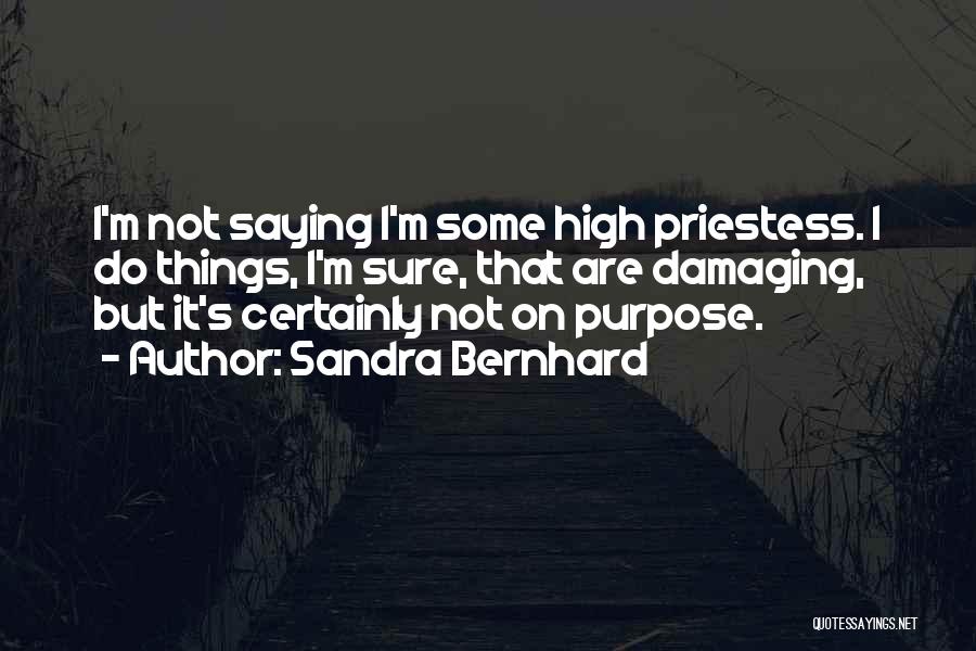 Priestess Quotes By Sandra Bernhard