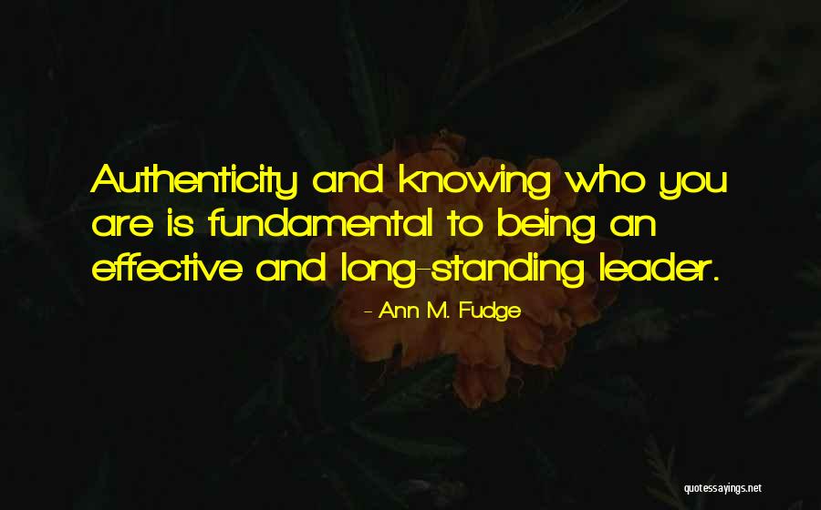 Prilly Mountain Quotes By Ann M. Fudge Prilly Mountain Quotes By Ann M. Fudge