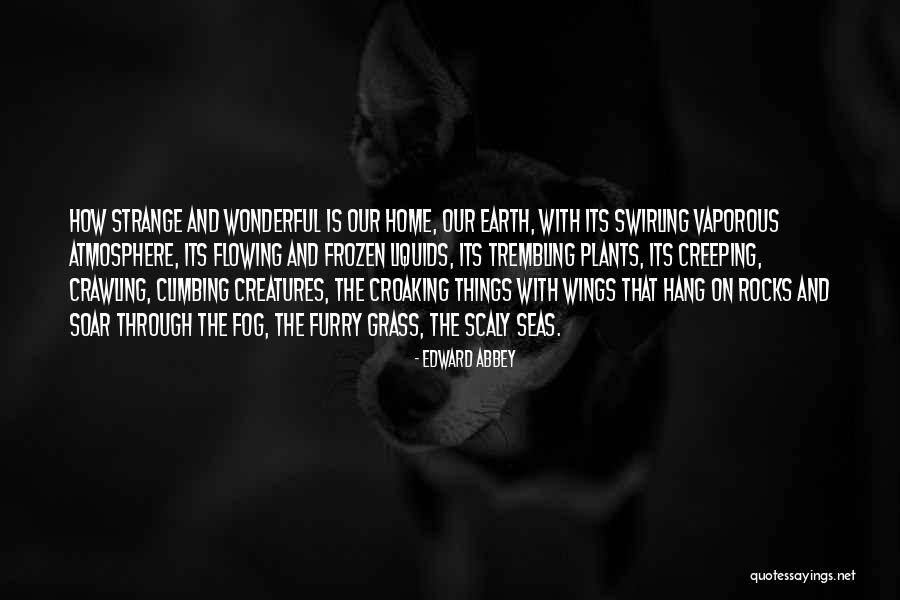 Prilly Reza Quotes By Edward Abbey Prilly Reza Quotes By Edward Abbey