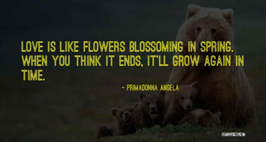 Primadonna Angela Quotes 233917 Primadonna Angela Quotes 233917
