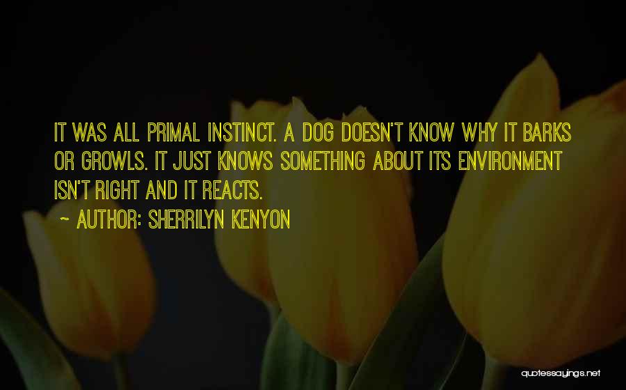 Primal Instinct Quotes By Sherrilyn Kenyon