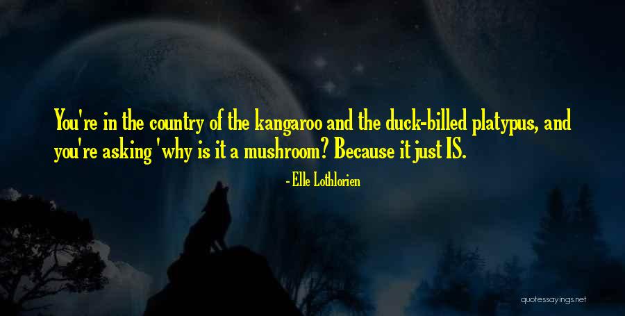 Primarily Primates Quotes By Elle Lothlorien Primarily Primates Quotes By Elle Lothlorien