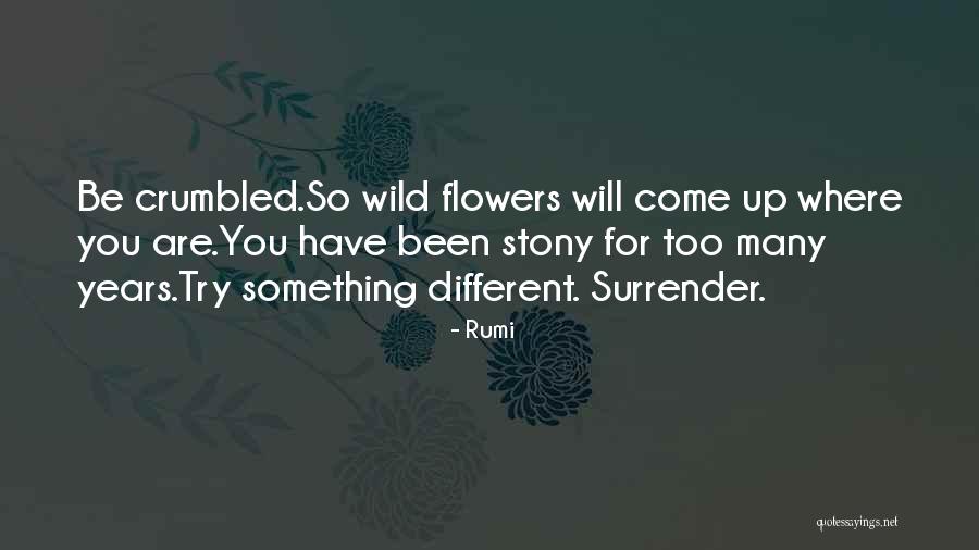 Primario Definicion Quotes By Rumi Primario Definicion Quotes By Rumi