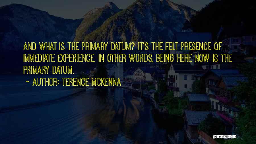 Primary Data Quotes By Terence McKenna