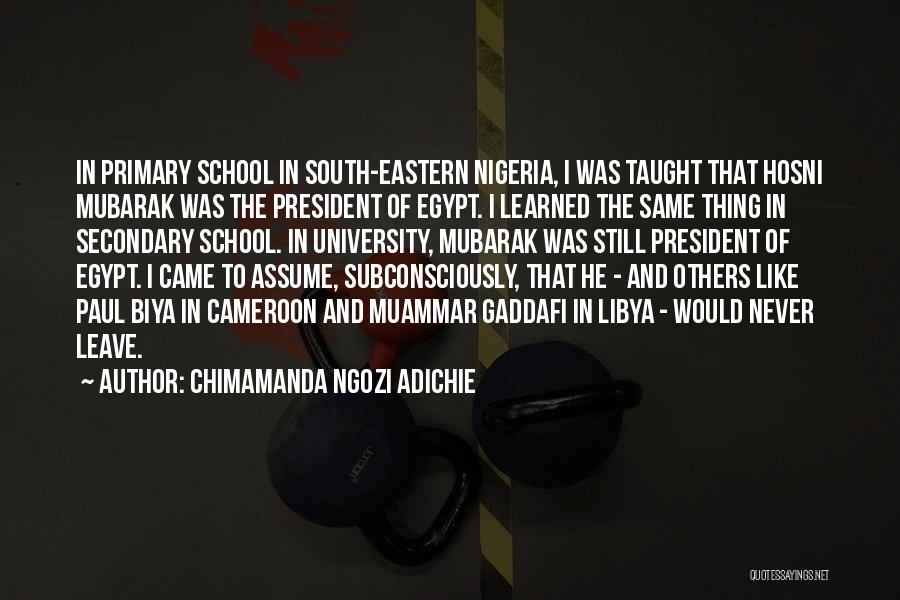 Primary School Quotes By Chimamanda Ngozi Adichie