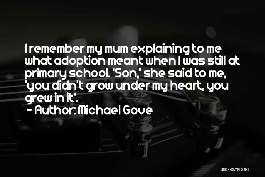 Primary School Quotes By Michael Gove