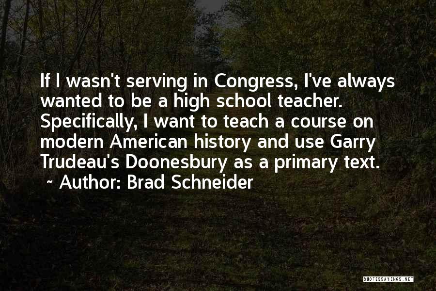 Primary School Teacher Quotes By Brad Schneider