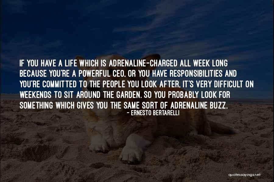 Primary School Teachers Quotes By Ernesto Bertarelli Primary School Teachers Quotes By Ernesto Bertarelli