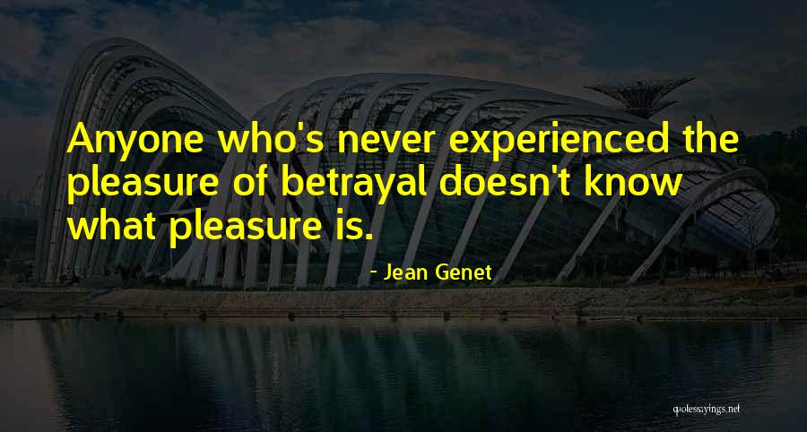 Primary School Teachers Quotes By Jean Genet
