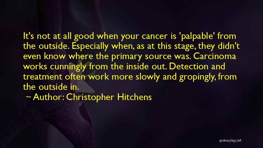 Primary Source Quotes By Christopher Hitchens