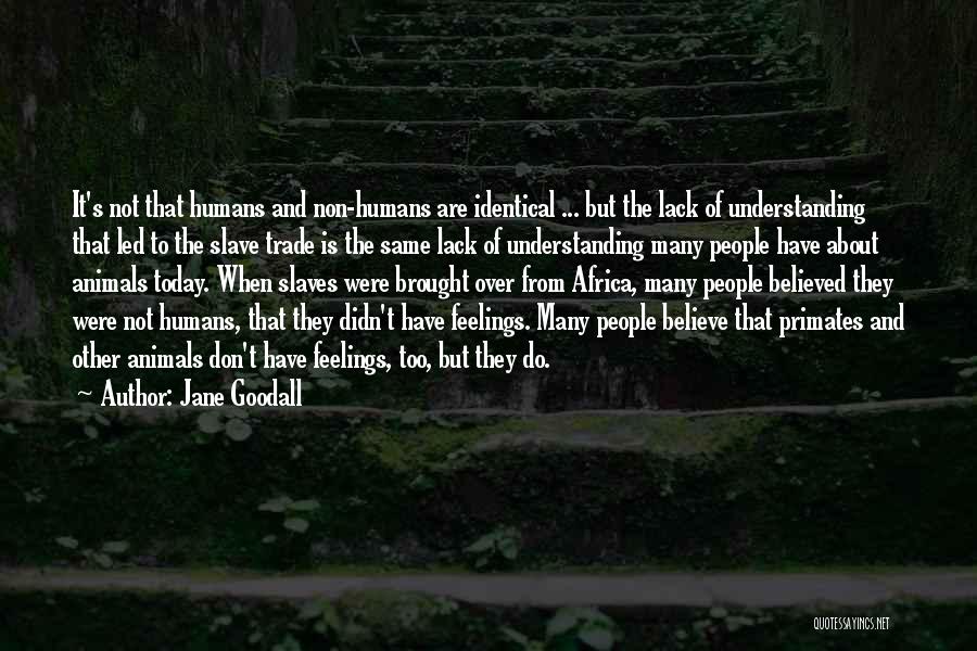 Primates And Humans Quotes By Jane Goodall