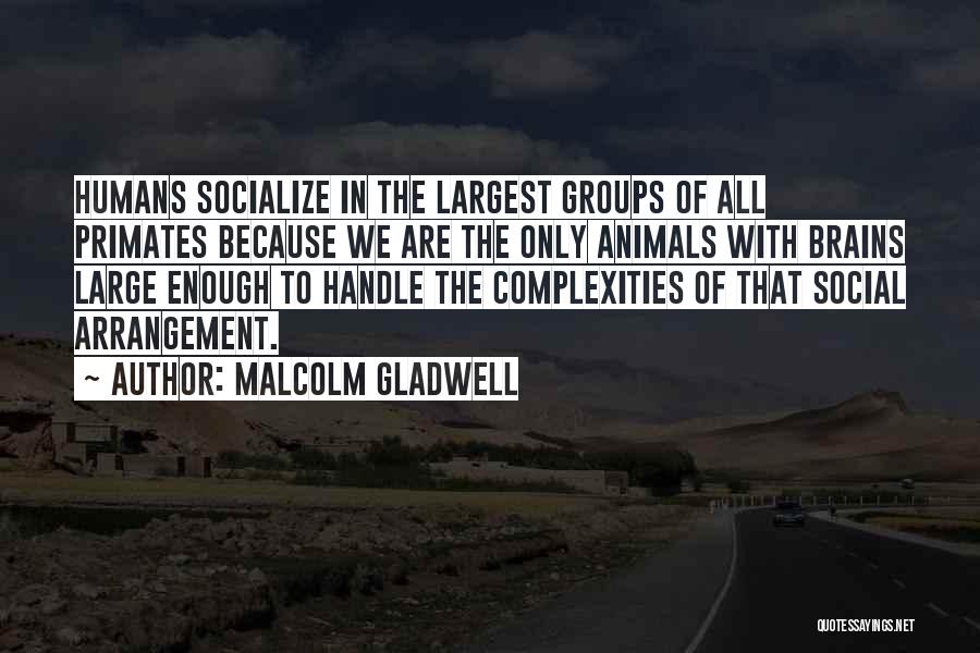 Primates And Humans Quotes By Malcolm Gladwell