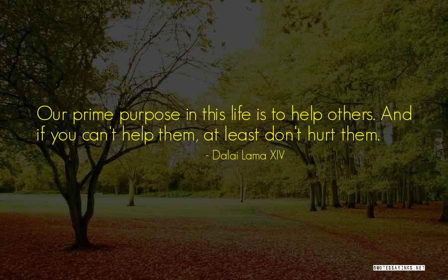 Prime Purpose Quotes By Dalai Lama XIV Prime Purpose Quotes By Dalai Lama XIV