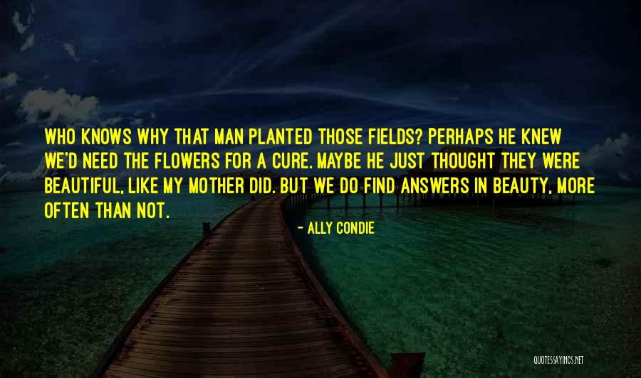 Primeiras Palavras Quotes By Ally Condie Primeiras Palavras Quotes By Ally Condie