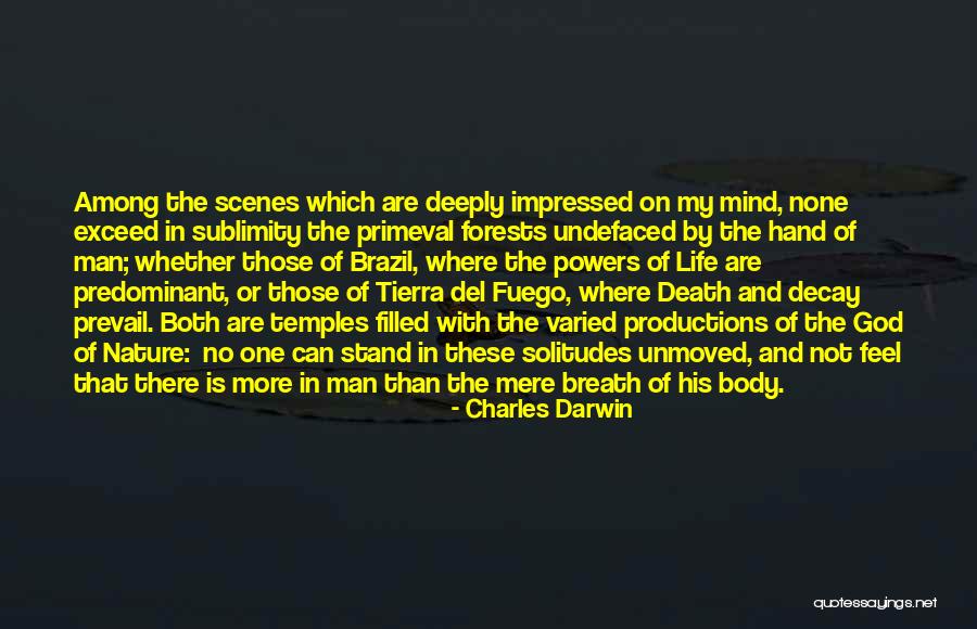 Primeval Man Quotes By Charles Darwin Primeval Man Quotes By Charles Darwin