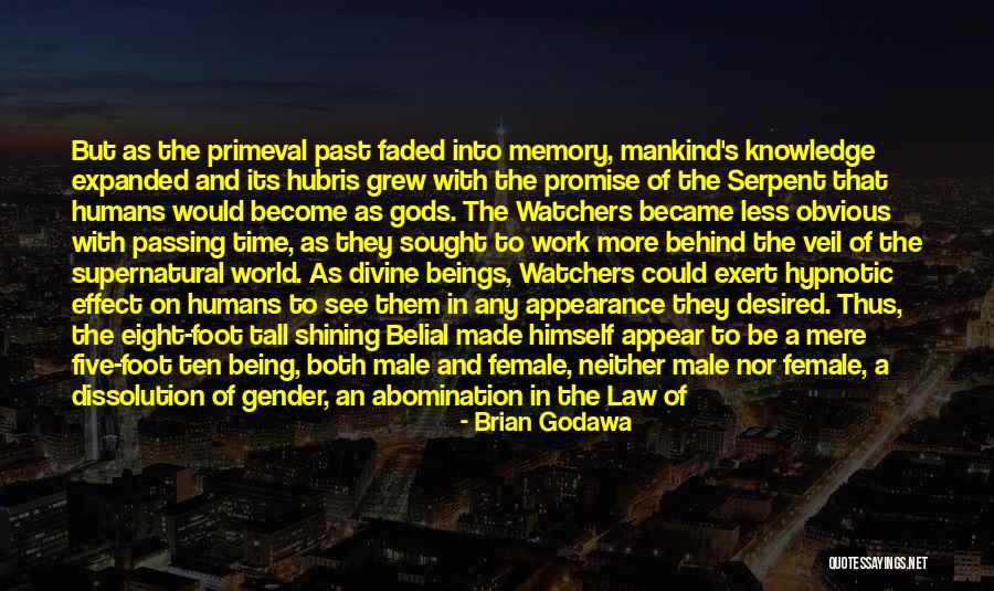 Primeval Quotes By Brian Godawa