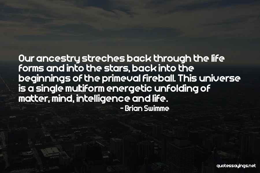 Primeval Quotes By Brian Swimme