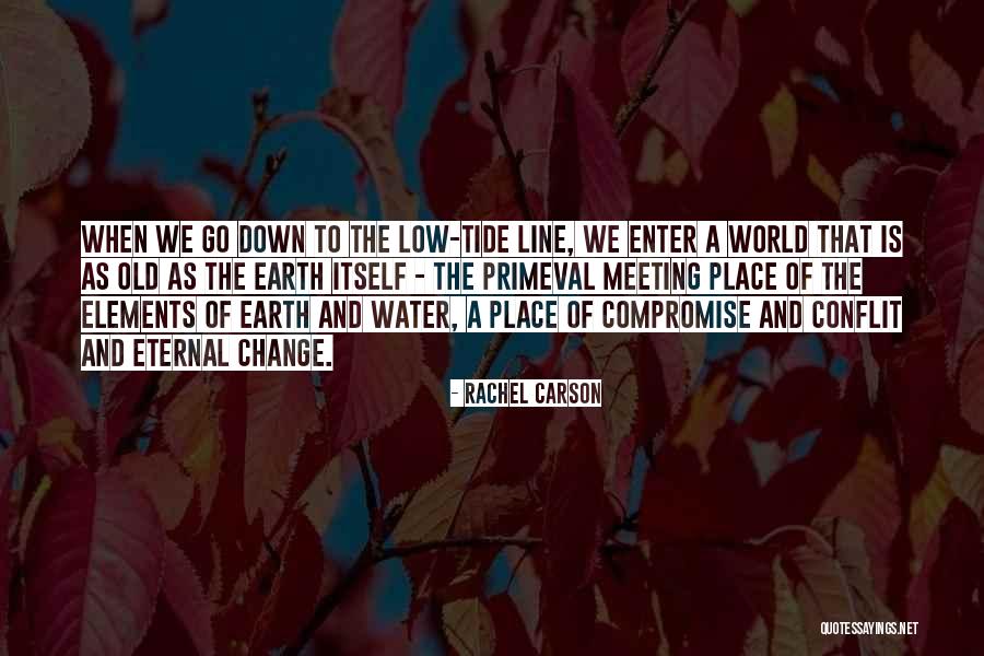 Primeval Quotes By Rachel Carson