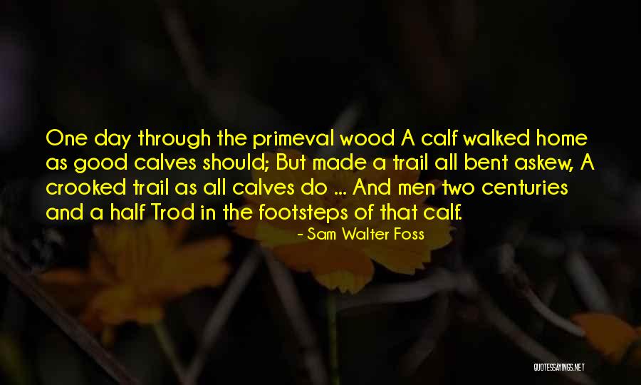 Primeval Quotes By Sam Walter Foss