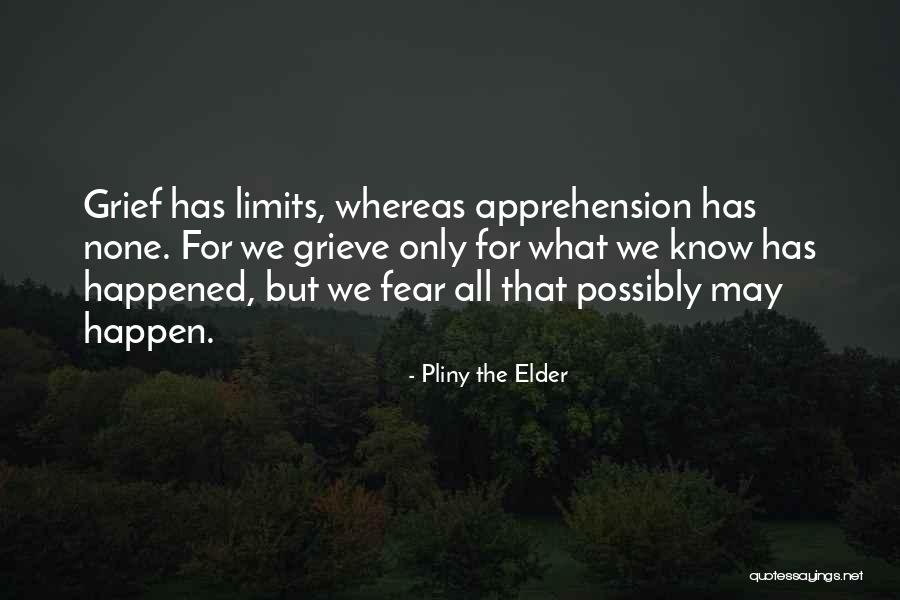 Primitif Quotes By Pliny The Elder Primitif Quotes By Pliny The Elder