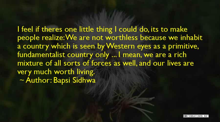 Primitive Country Quotes By Bapsi Sidhwa