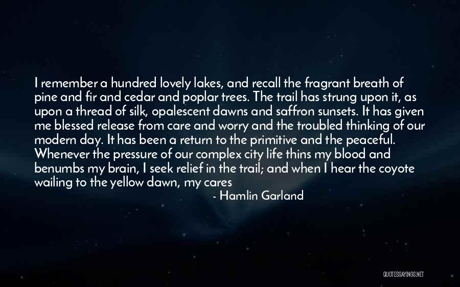 Primitive Fall Quotes By Hamlin Garland Primitive Fall Quotes By Hamlin Garland