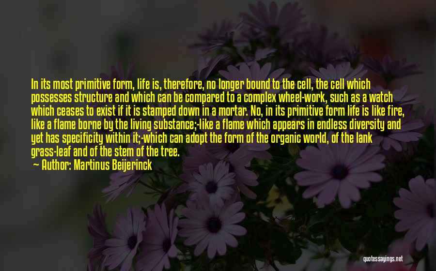 Primitive Life Quotes By Martinus Beijerinck