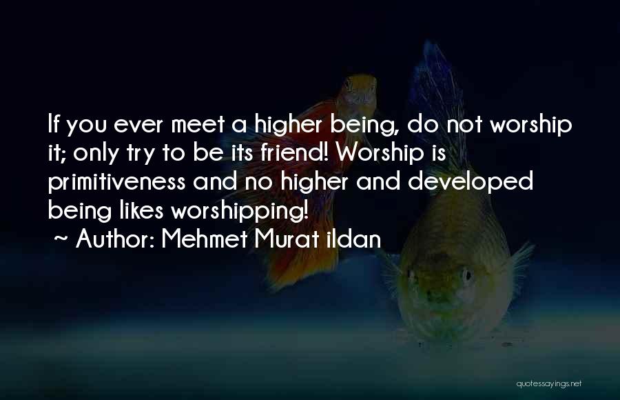 Primitiveness Quotes By Mehmet Murat Ildan