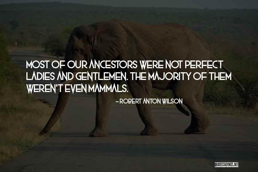 Primitivista Quotes By Robert Anton Wilson Primitivista Quotes By Robert Anton Wilson