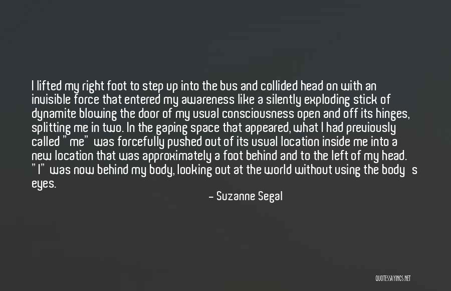 Primitivo Quotes By Suzanne Segal Primitivo Quotes By Suzanne Segal