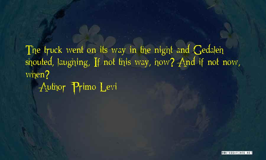 Primo Levi If Not Now When Quotes By Primo Levi