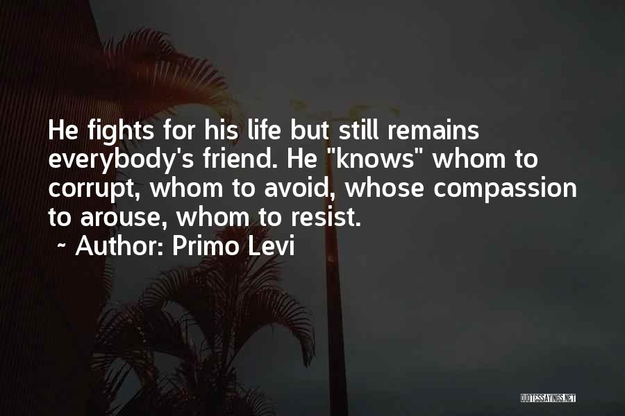 Primo Levi Quotes 1492072