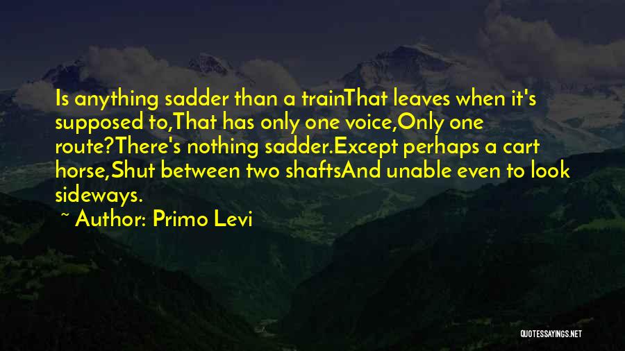 Primo Levi Quotes 267489