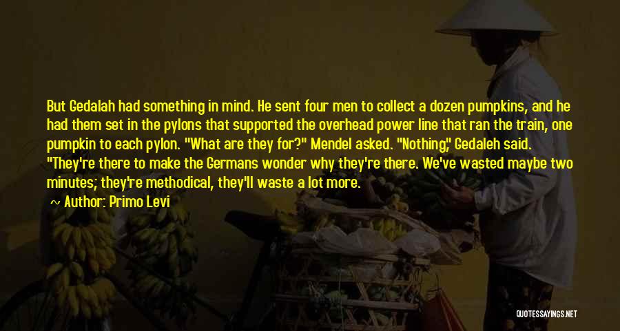 Primo Levi Quotes 447283