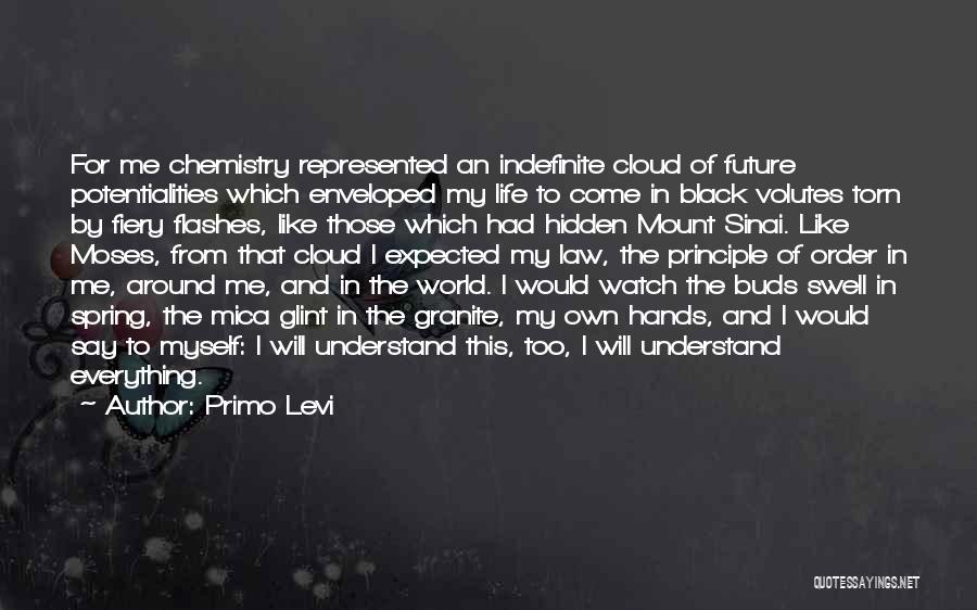 Primo Levi Quotes 571330