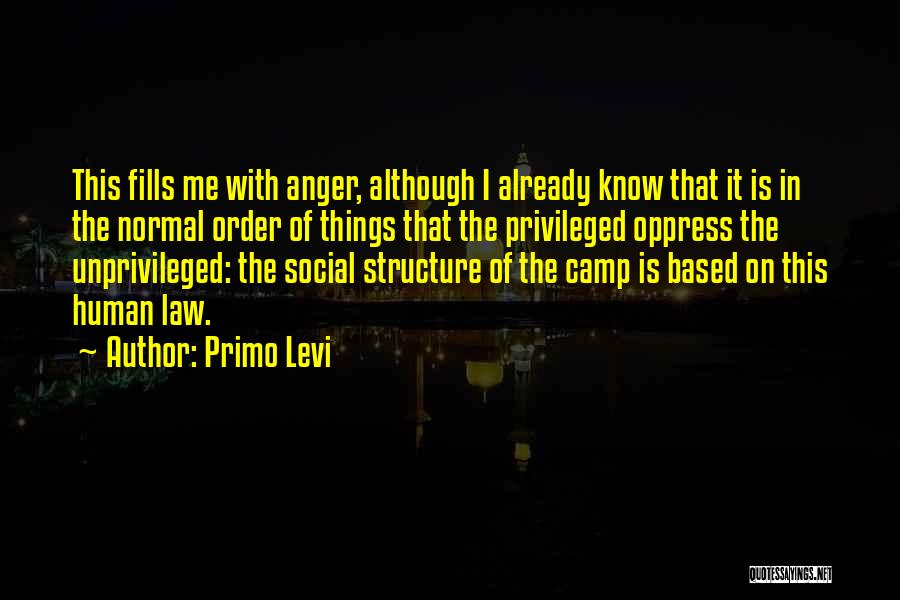 Primo Levi Quotes 731921