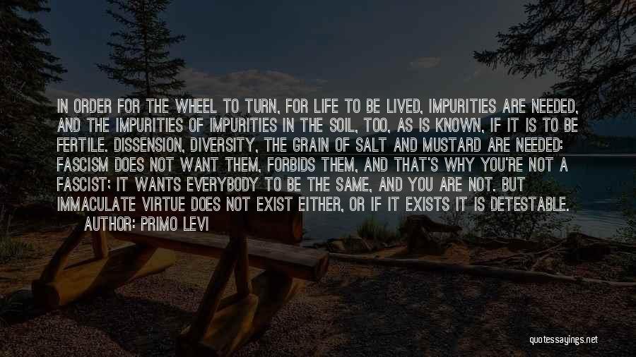 Primo Quotes By Primo Levi