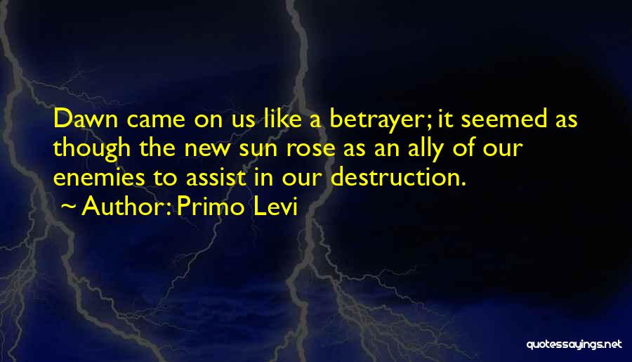 Primo Quotes By Primo Levi