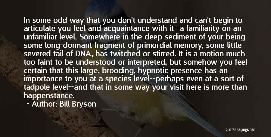 Primordial Quotes By Bill Bryson