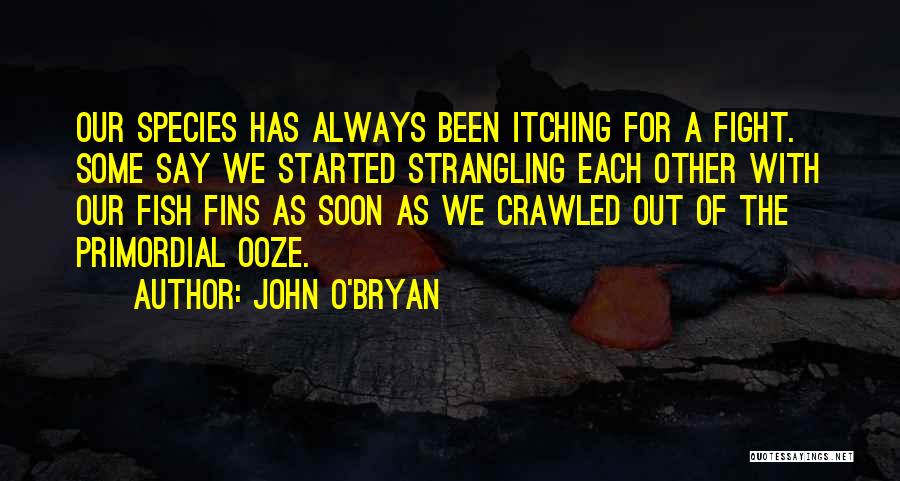 Primordial Quotes By John O'Bryan