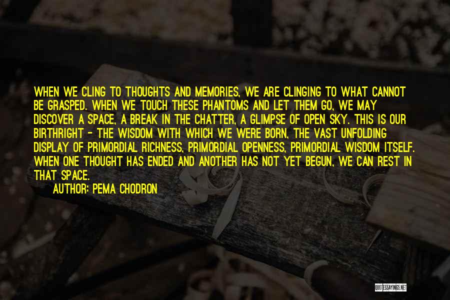 Primordial Quotes By Pema Chodron