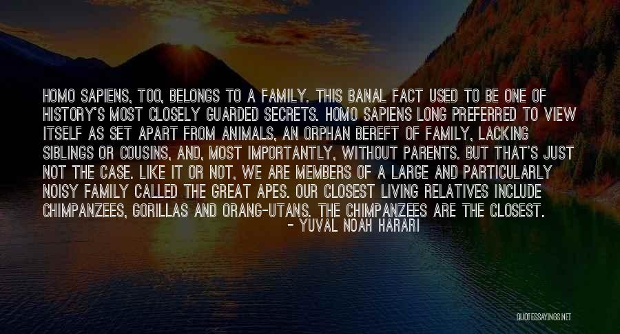 Primos Restaurant Quotes By Yuval Noah Harari Primos Restaurant Quotes By Yuval Noah Harari