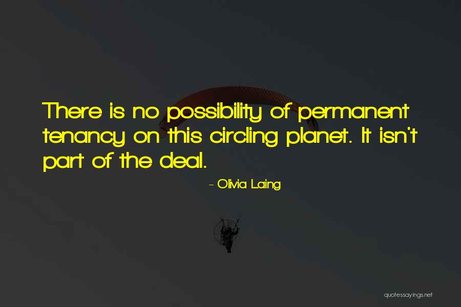 Primulas Care Quotes By Olivia Laing Primulas Care Quotes By Olivia Laing