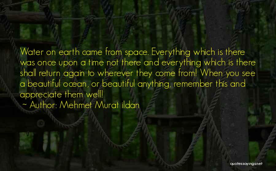 Primum Familiae Quotes By Mehmet Murat Ildan