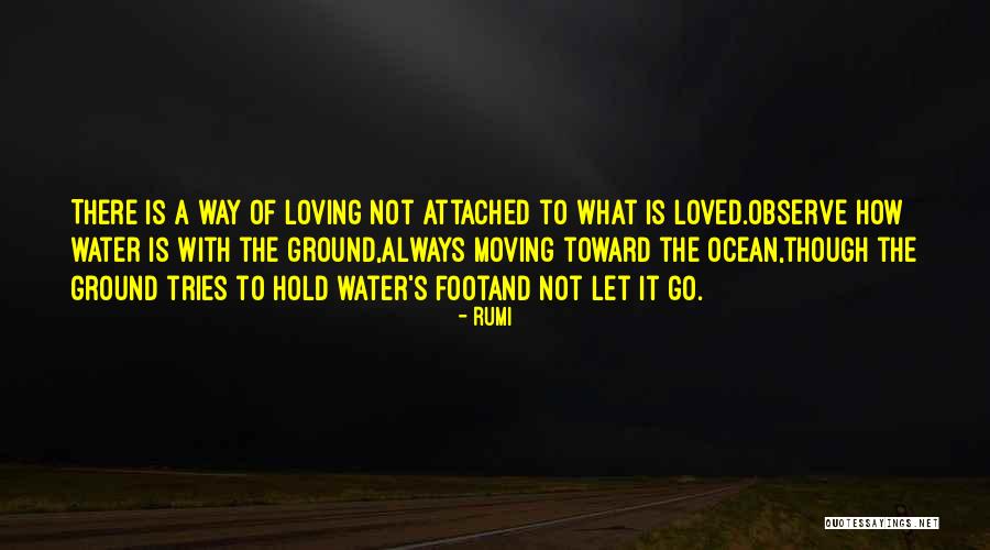 Prince Of Arragon Quotes By Rumi Prince Of Arragon Quotes By Rumi